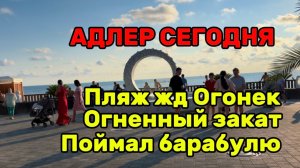 АДЛЕР / ОБСТАНОВКА НА ПЛЯЖАХ / приготовил обед