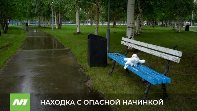 Находки с опасным сюрпризом