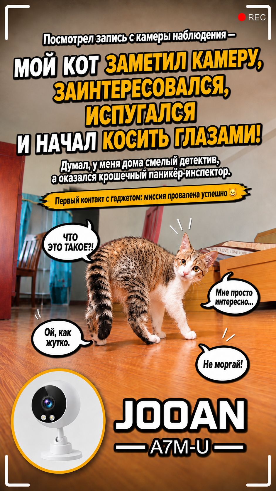 Сначала любопытно… потом паника! 😂🐱