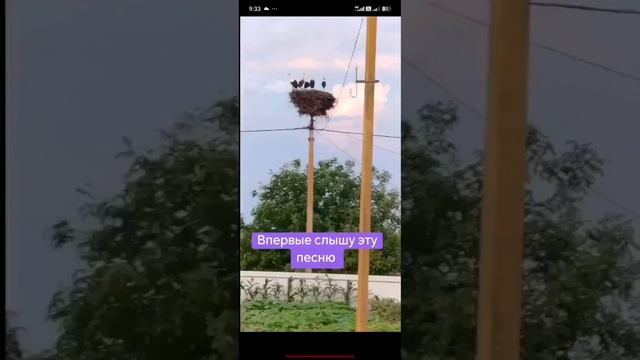 я и ду по деревне а её...