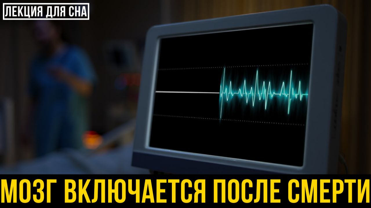 Мозг ВКЛЮЧАЕТСЯ После Смерти. Вот Что Он Показывает 🌙 Лекция для сна 💤