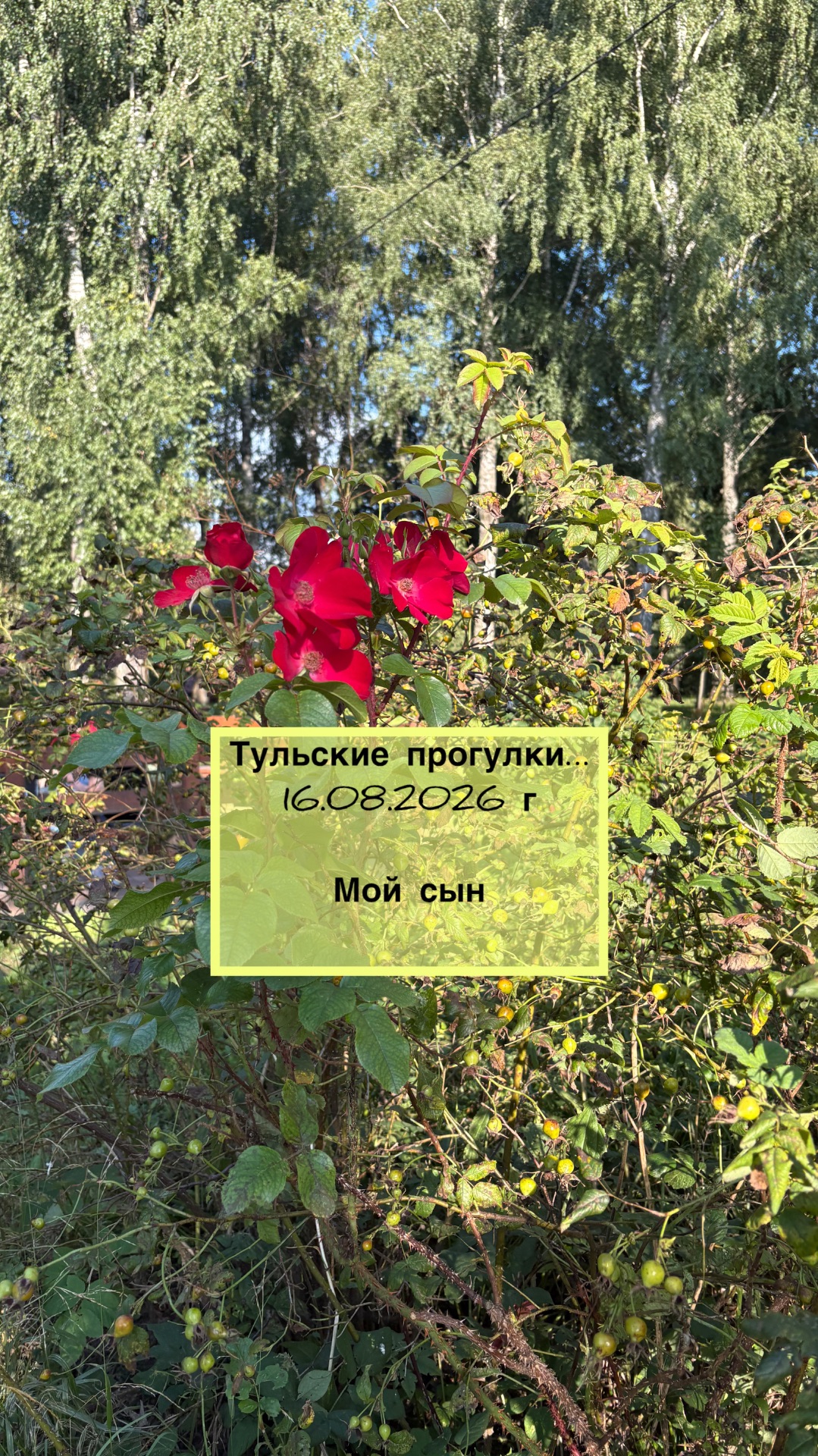 Тульские прогулки 2026-08-16 Мой сын