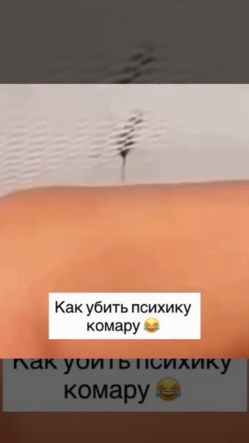 Комар в шоке 🤯