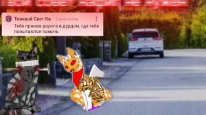 Коротенькое видео🥱