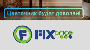 FIXPrice удивил так удивил! Цветочники! Срочно в магазин!