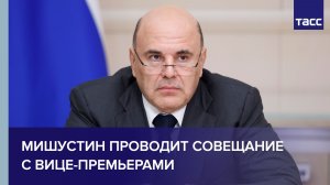 Мишустин проводит совещание с вице-премьерами
