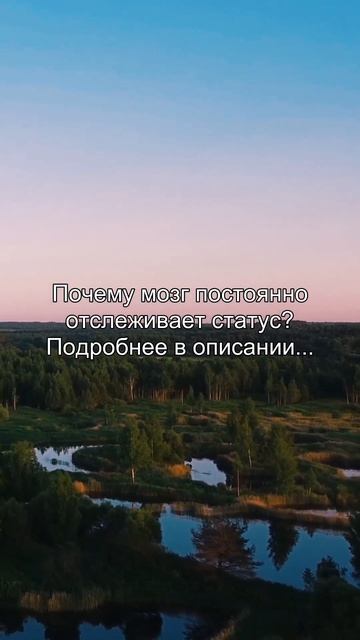 Почему мозг постоянно
отслеживает статус?
Подробнее в описании...