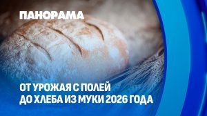 Как работают белорусские хлеборобы? Панорама