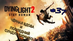 DYING LIGHT 2: STAY HUMAN #37 ЧЁРНАЯ ВДОВА И ПОСЛЕДНИЙ СУНДУК ДЖИМБО
