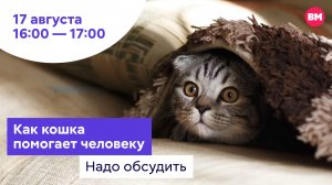 Как кошка помогает человеку // Надо обсудить