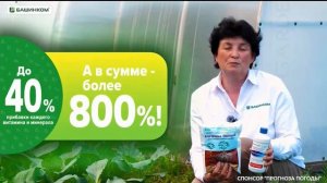 Уход на профилактику (БСТ HD (Уфа), 17.08.2026)
