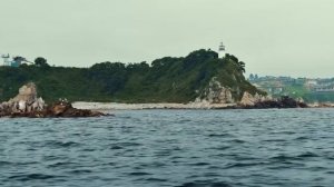 МОРСКИЕ ЭКОФЕРМЫ