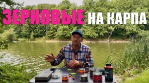 РАБОЧИЕ РЕЦЕПТЫ ЗЕРНОВЫХ НА КАРПА. Карпфишинг