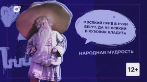 Правила жизни / Опасные грибы / 17.08.26