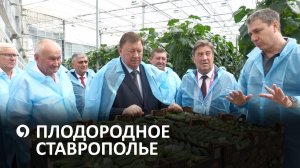 Ставрополье продолжает достигать высот в сельскохозяйственной отрасли