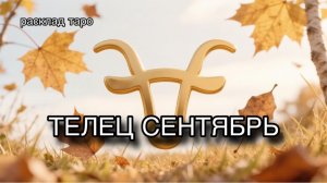 ТЕЛЕЦ таро прогноз на СЕНТЯБРЬ 2026 [расклад таро] [гадание онлайн]