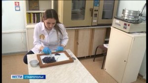Зерно в закромах: ставропольские хлеборобы собрали более 9 млн тонн