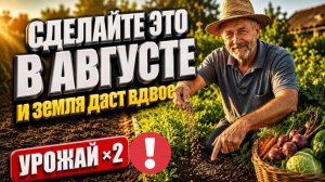 Сделайте это в ОГОРОДЕ в АВГУСТЕ - и урожая вырастет вдвое больше.
