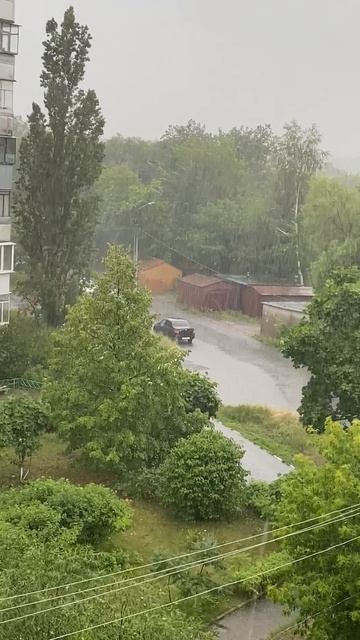 Мне приснился шум дождя