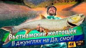 🇻🇳 За Желтощёком на север Вьетнама. Водохранилище Да