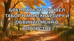 БРАТ-ПАРАЗИТ ПРИВЁЛ ТАБОР В МОЮ КВАРТИРУ И ОБВИНИЛ МЕНЯ В ВОРОВСТВЕ