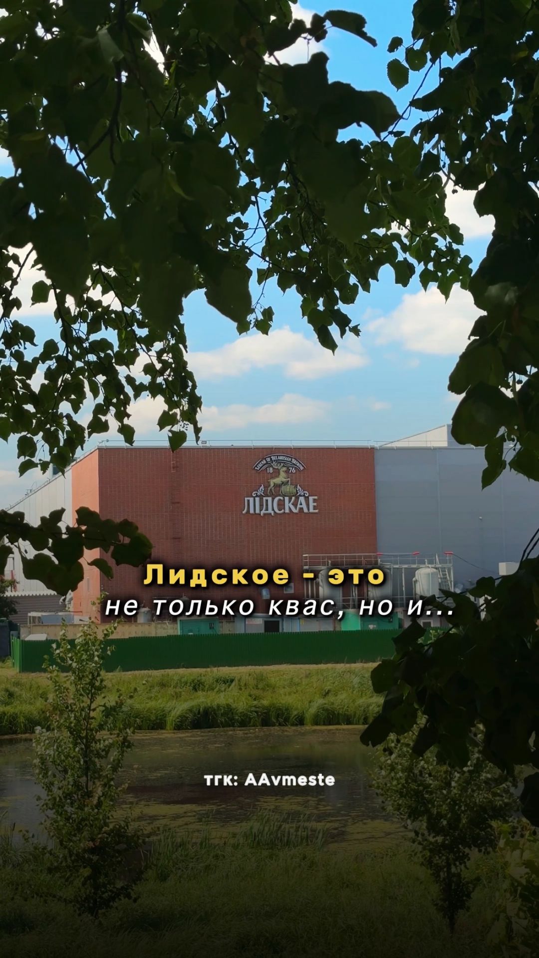 «Лидское» - это не только квас: история города, о котором мало кто слышал