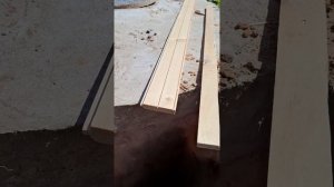 1000067287.mp4 (Собака слушает о технологии устройства канализации в сливную яму у дома А-фрейм)