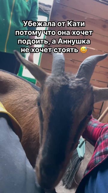 хаха