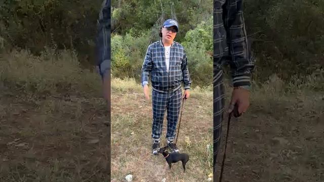 Тема: