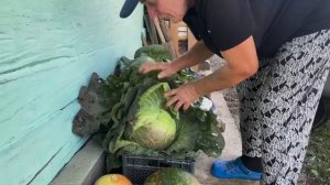 Одинокая бабушка  живёт одна в глухой деревне