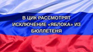 |Н. РФ| В ЦИК рассмотрят исключение «Яблока» из бюллетеня