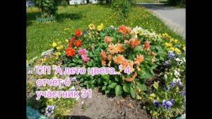 СП» А лето цвета..4». уч.31.отчет6.