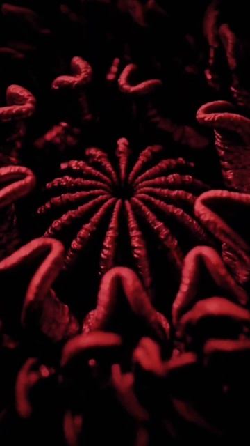 Samka Skorpiona - Томление [18+]