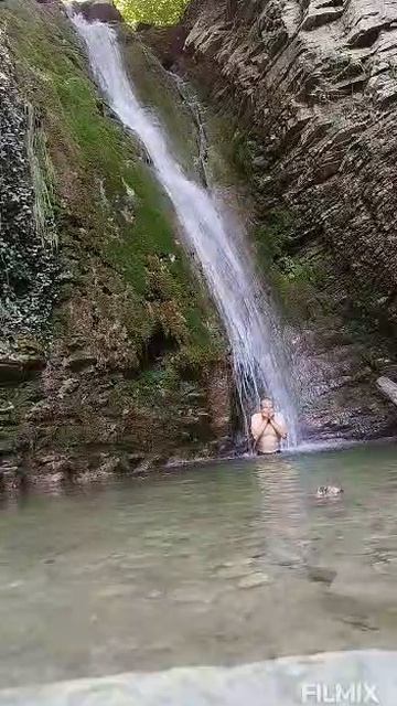 флора и фауна