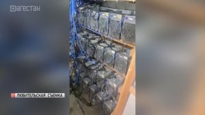 Незаконную майнинг-ферму обнаружили в селе Майданское