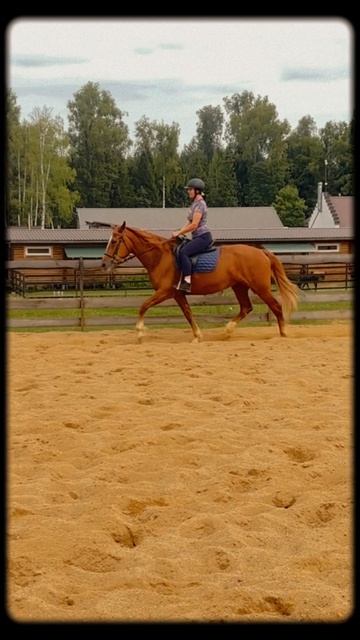 У каждого свой Дзен 🐎)
