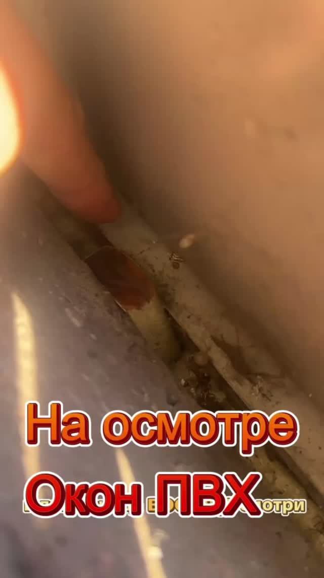 Приехал на осмотр окон 🚌