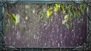 ⛈️🌲ДОЖДЬ И СИЛЬНЫЙ ГРОМ В ЛЕСУ | Звуки для глубокого сна.