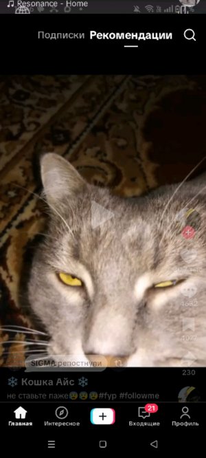 это дебилы