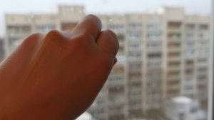 Продажа присоски или липучки для оконных стёкл или зеркал