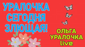 СЕГОДНЯ УРАЛОЧКА ЗЛЮЩАЯ. ОЛЬГА УРАЛОЧКА LIVE.
