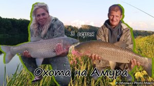 В погоне за Белым Амуром. Рыбалка мечты. 3 серия. Трофеи.