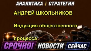 АНДРЕЙ ШКОЛЬНИКОВ Индукция общественного процесса