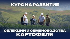 Курс на развитие селекции и семеноводства картофеля