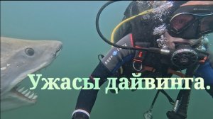 Дайвинг в Спас-Каменке в августе 2026г