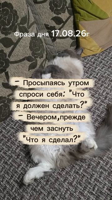 Фраза дня 17.08.26г