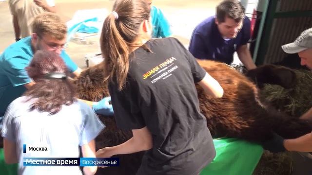Местное время. Воскресенье от 09.08.2026