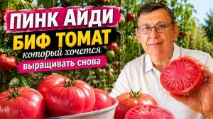 Розовый с наружи, сахарный внутри томат Пинк Айди.
