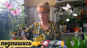 🖋️🚀НА ХРЕНА КОЗЕ 🐐  БАЯН 🪗 ВЕСЕЛО ЖИВЁМ💃🔥 МОИ  БУДНИ 🚀🖋️