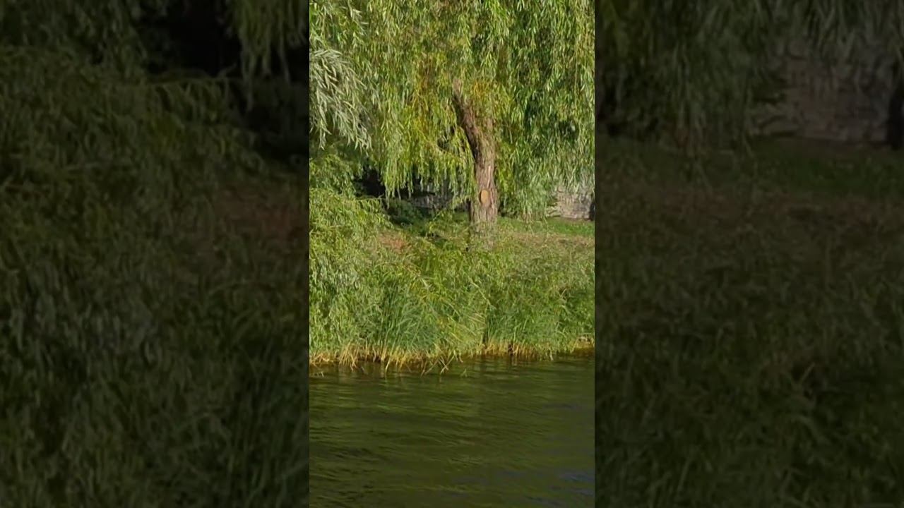 Красота красивая